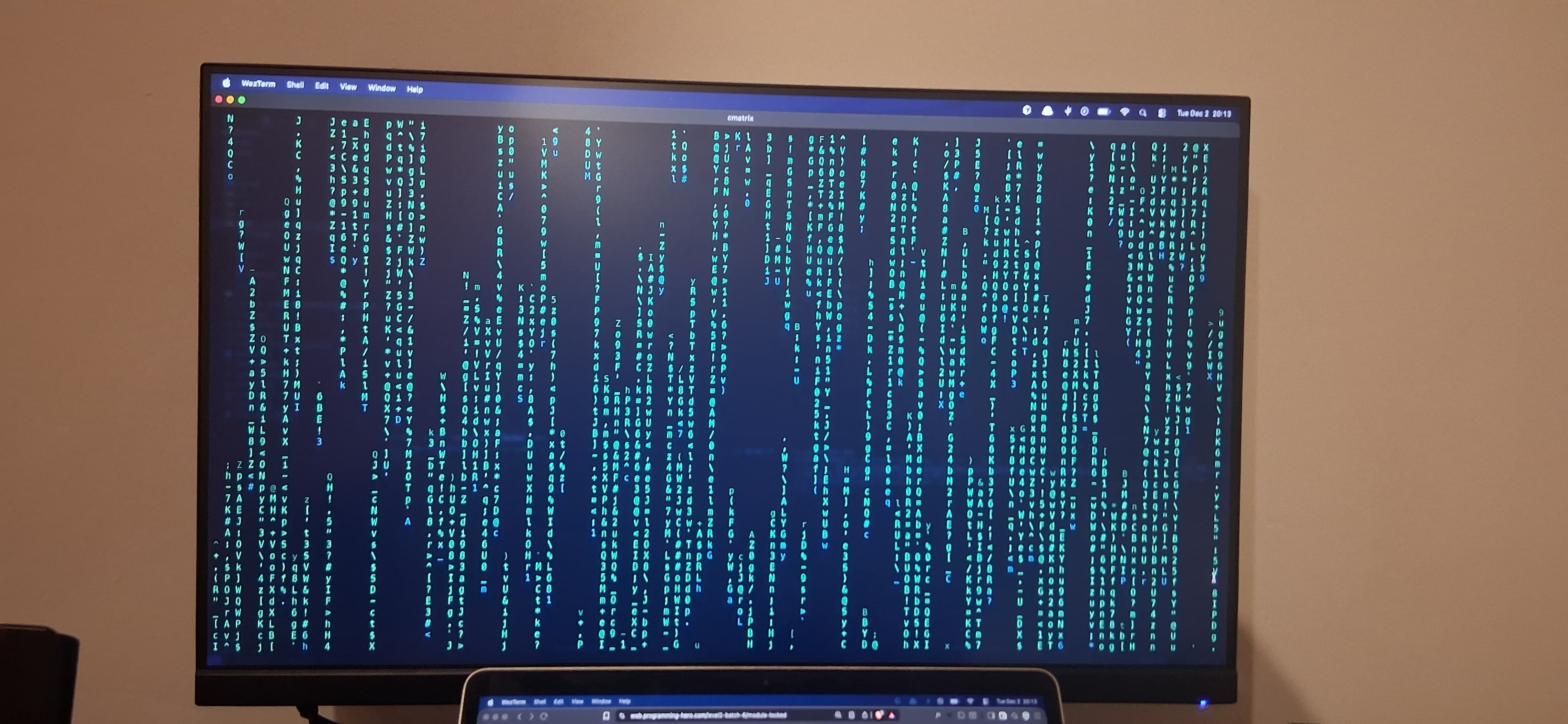 My working desktop monitor